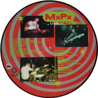 Vinyl Picture Disc Side B